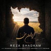 رضا شادکام
