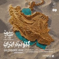 علیرضا قربانی